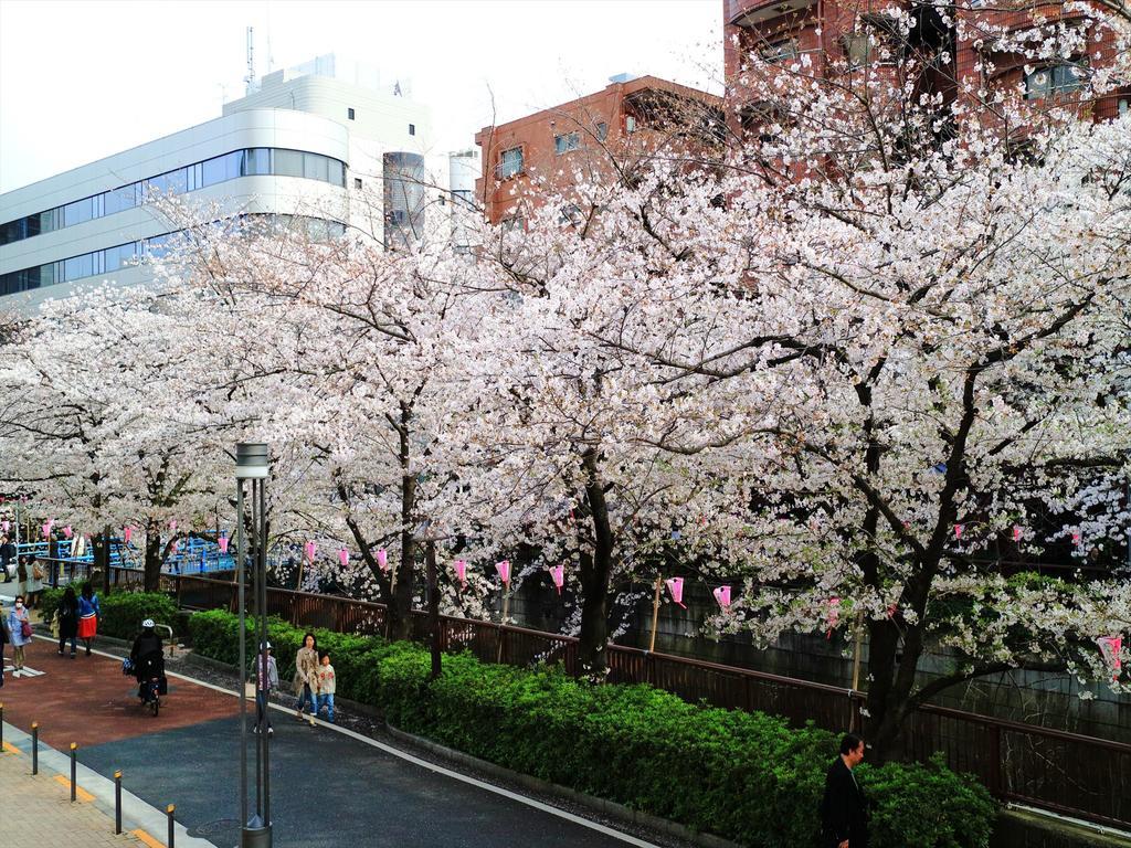 شقة Coto Tokyo Shibuya 2 المظهر الخارجي الصورة